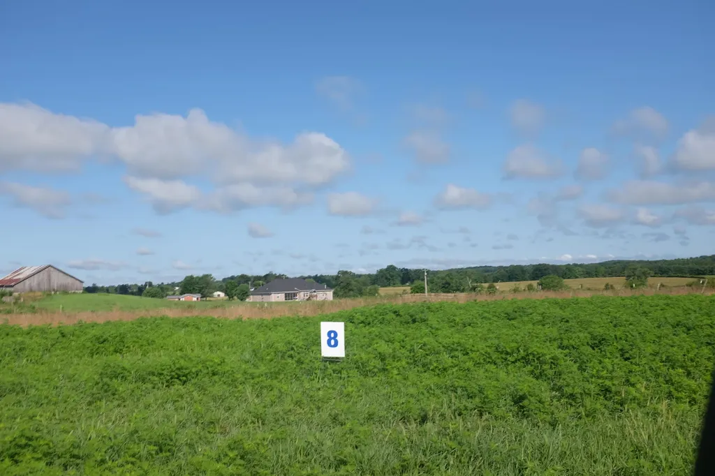4 Squirrel Path East Bernstadt KY 40729