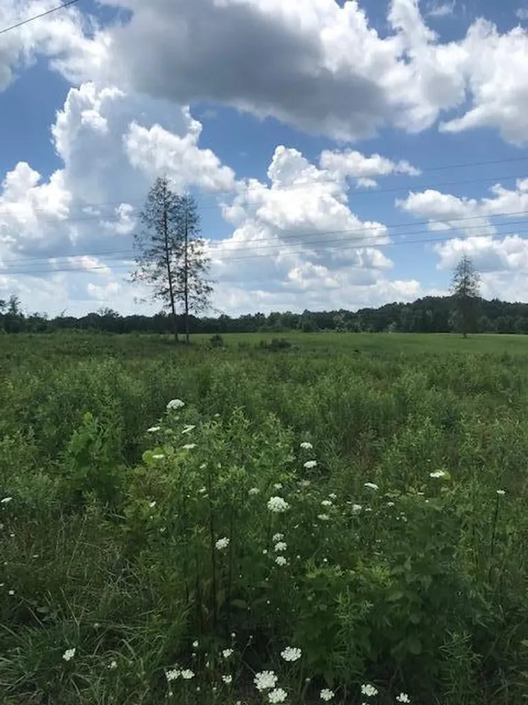 9999 Mitchell Creek Road London KY 40741