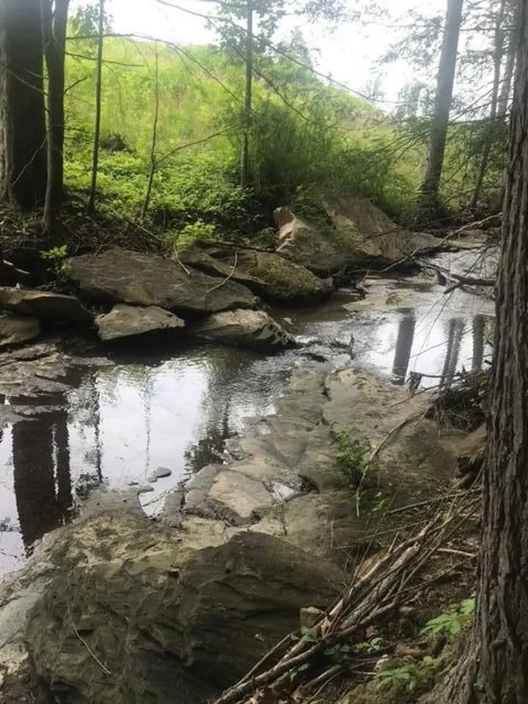 9999 Mitchell Creek Road London KY 40741