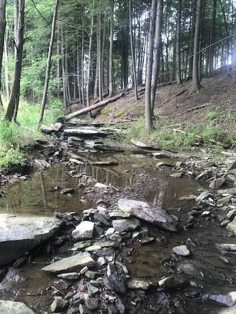 9999 Mitchell Creek Road London KY 40741
