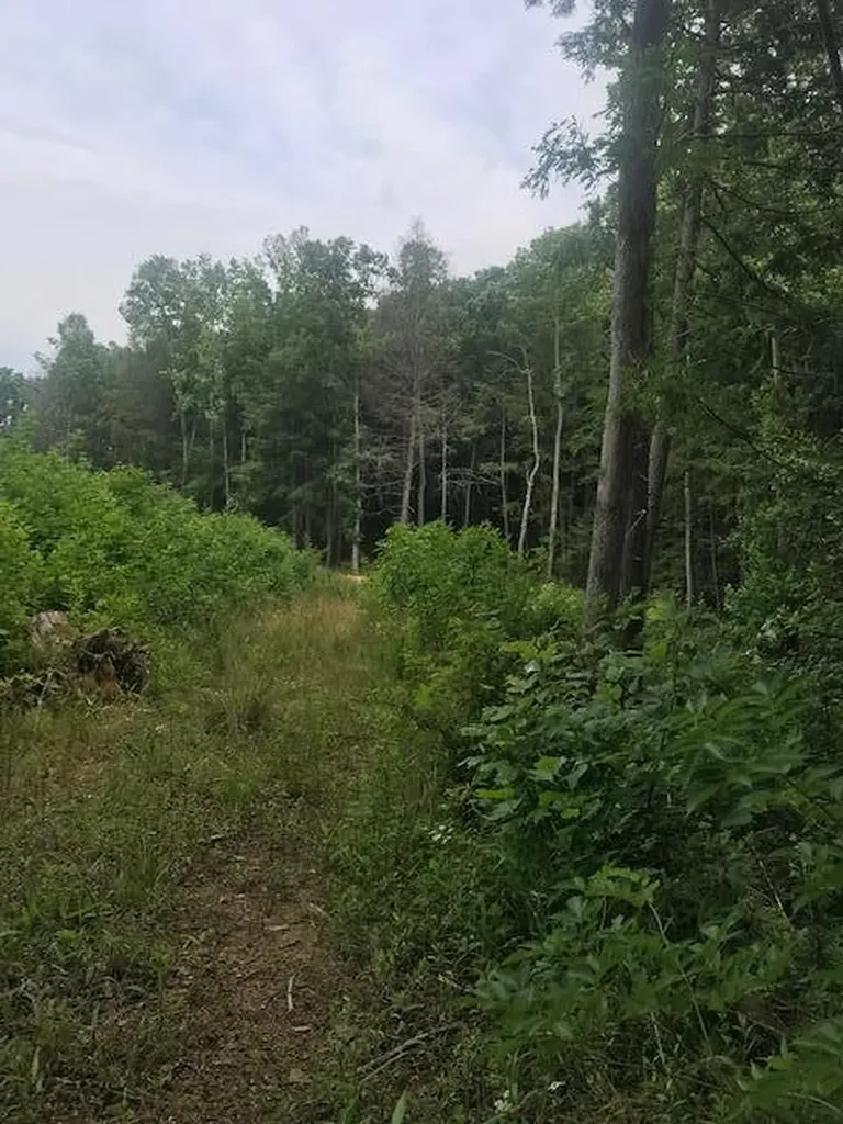 9999 Mitchell Creek Road London KY 40741
