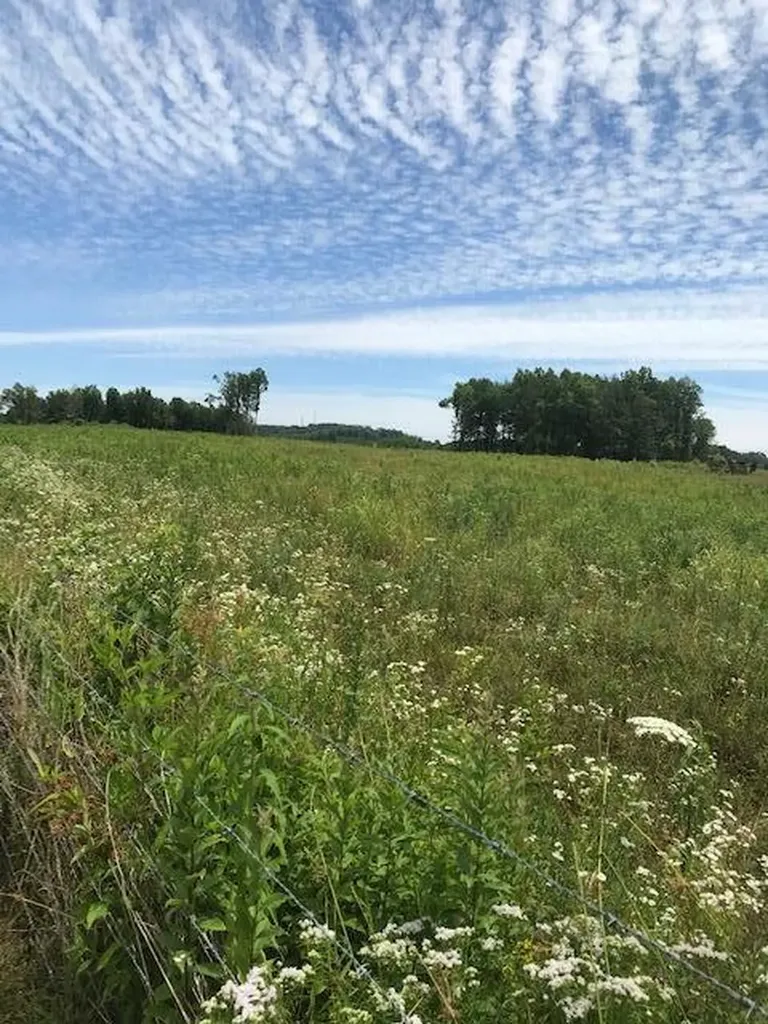 9999 Mitchell Creek Road London KY 40741