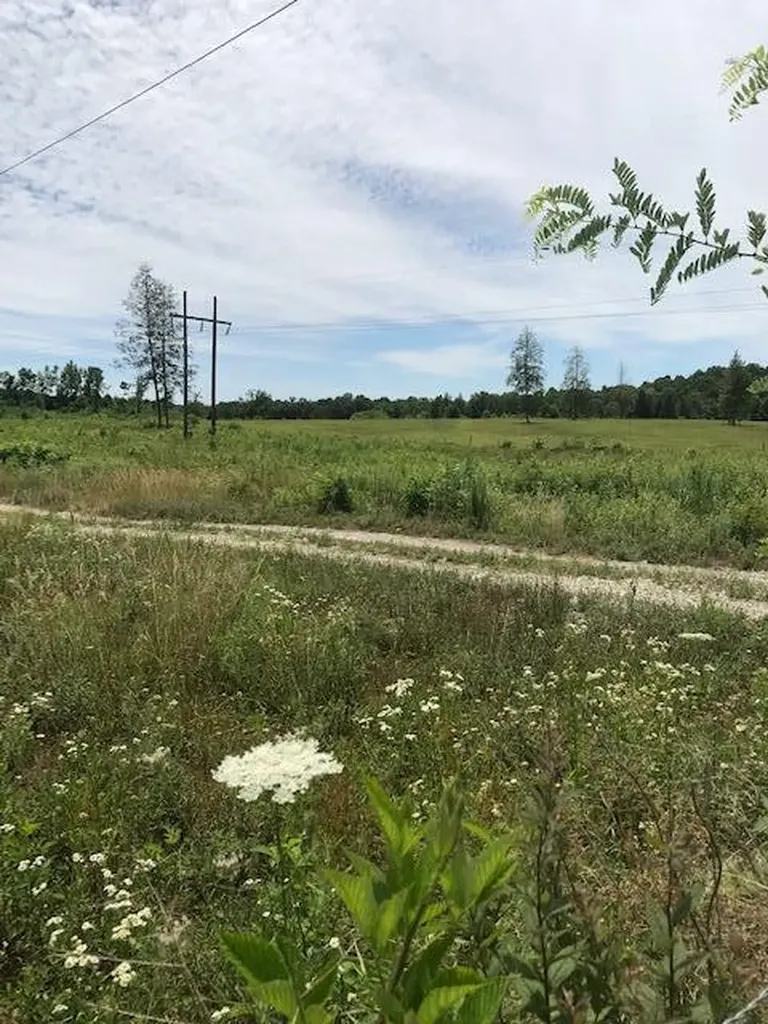 9999 Mitchell Creek Road London KY 40741