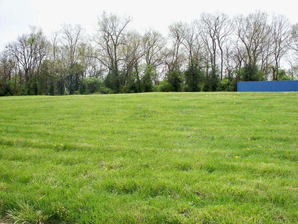 305 Kentucky Avenue Versailles KY 40383