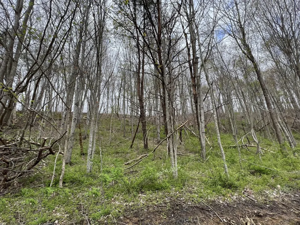 Lot #20 Laredo Drive London KY 40741