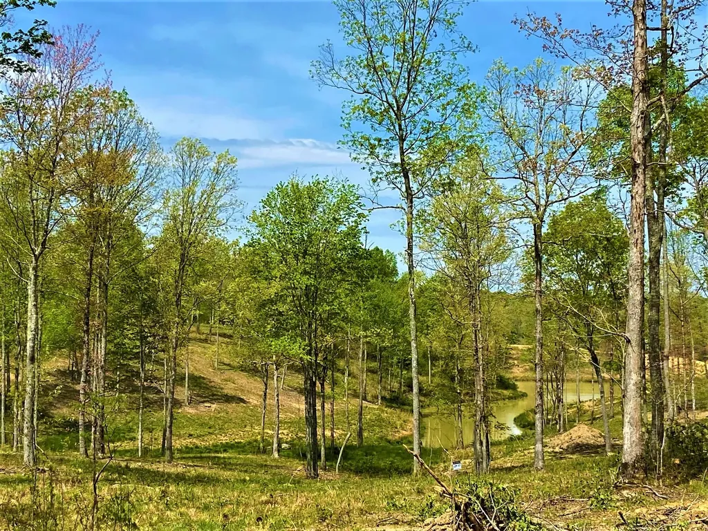 P-3 Lot 57 Twins Pond Road Corbin KY 40701