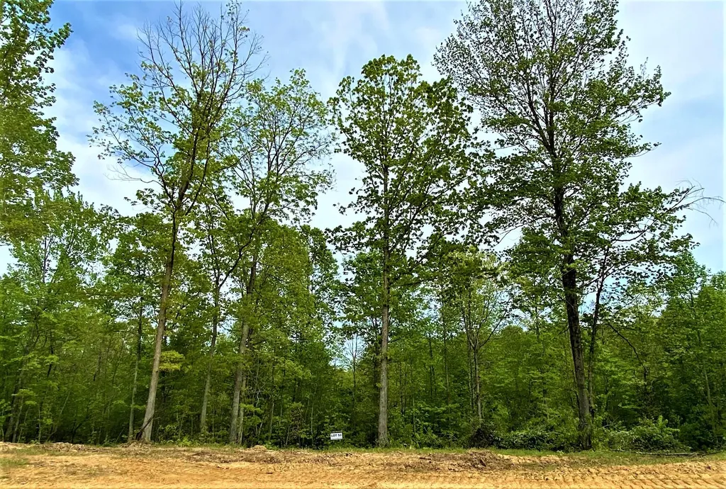 P3 Lot 50 Twin Ponds Road Corbin KY 40701