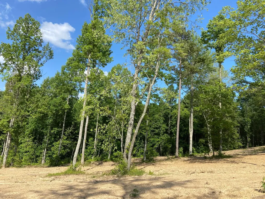 P-3 Lot 44 Twins Pond Road Corbin KY 40701