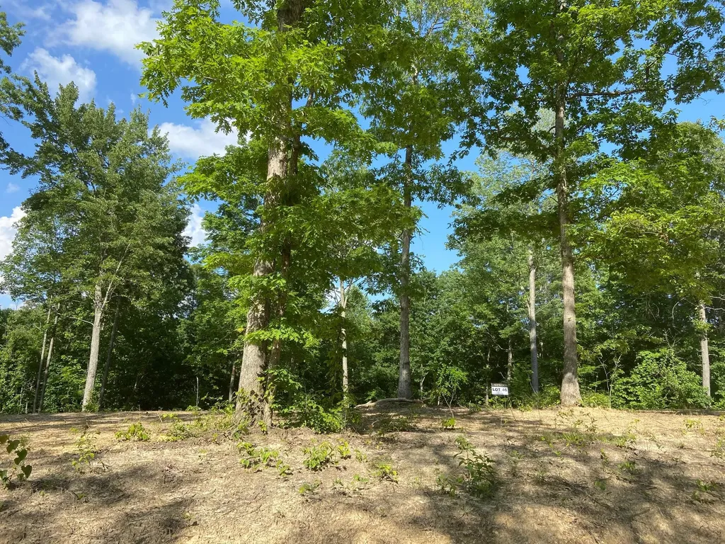 P-3 Lot 46 Twins Pond Road Corbin KY 40701