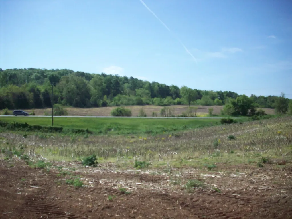 1 East Highway 90 Bypass Monticello KY 42633