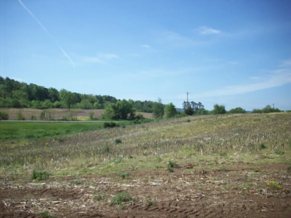 1 East Highway 90 Bypass Monticello KY 42633