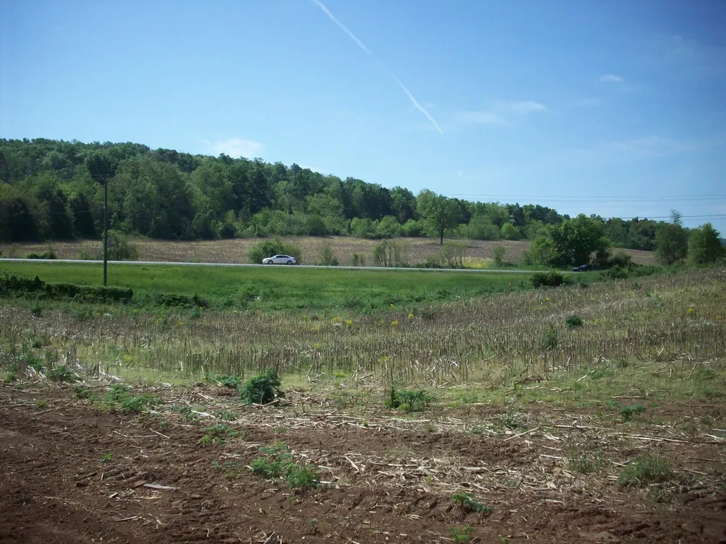 1 East Highway 90 Bypass Monticello KY 42633