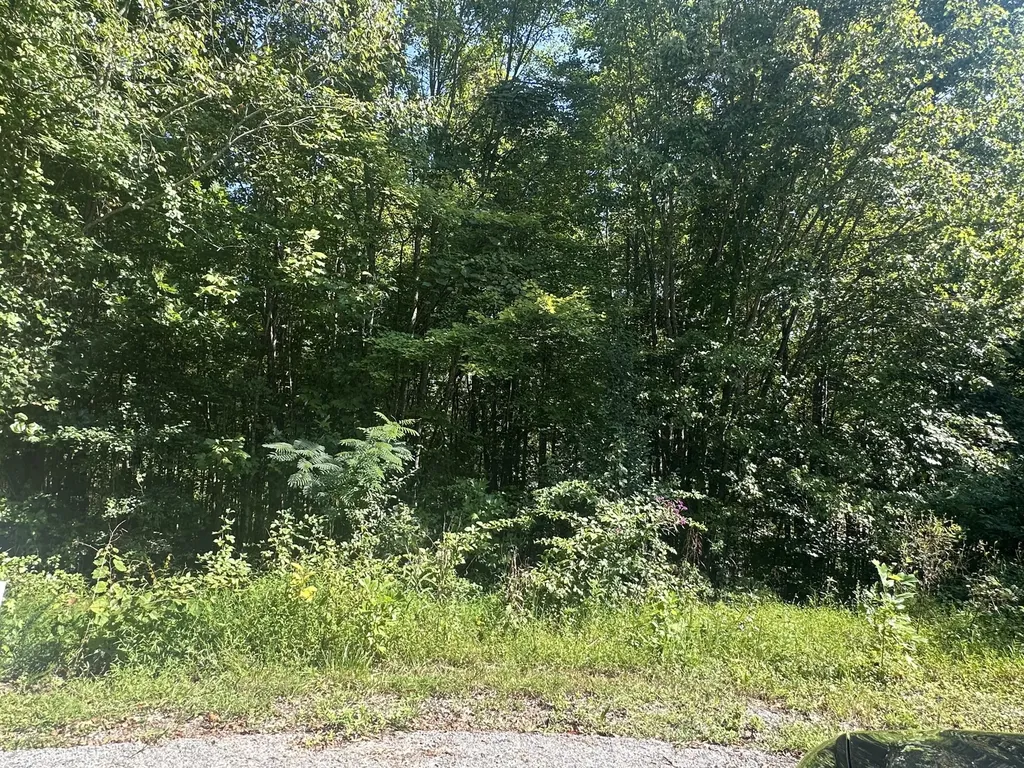 89 Rodeo Drive Corbin KY 40701