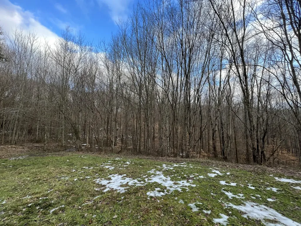 Lot #21 Laredo Drive London KY 40741