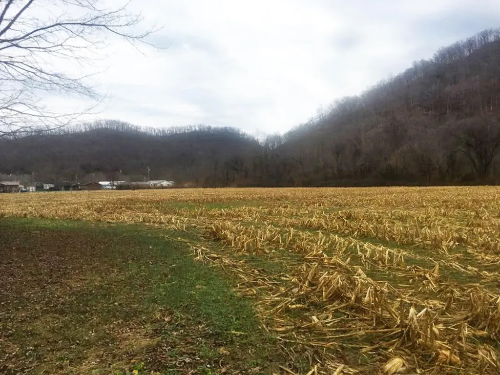 0 John Cc Mayo Road Auxier KY 41602