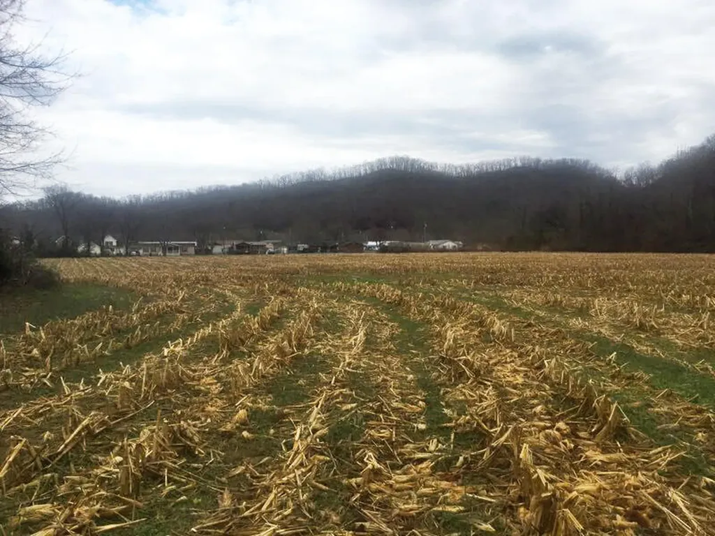 0 John Cc Mayo Road Auxier KY 41602
