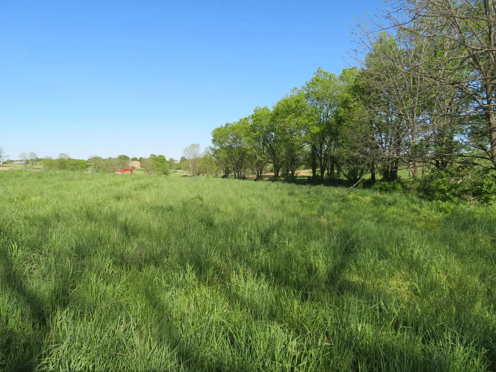 1185 Craig Crossing Road Winchester KY 40391
