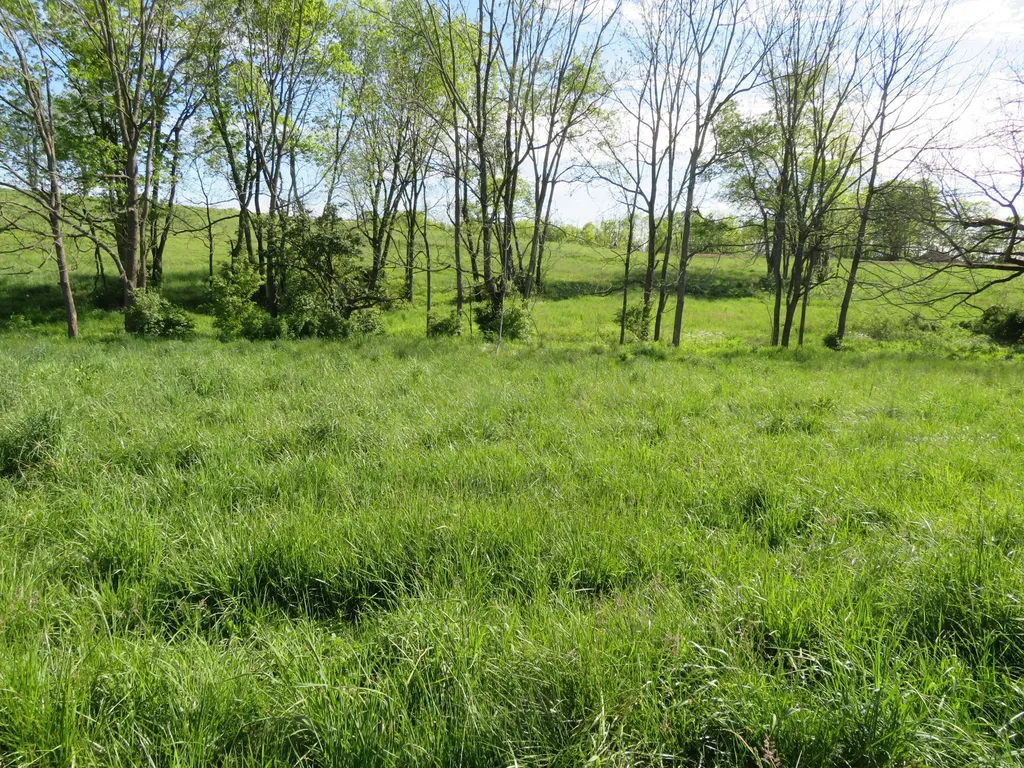 1185 Craig Crossing Road Winchester KY 40391