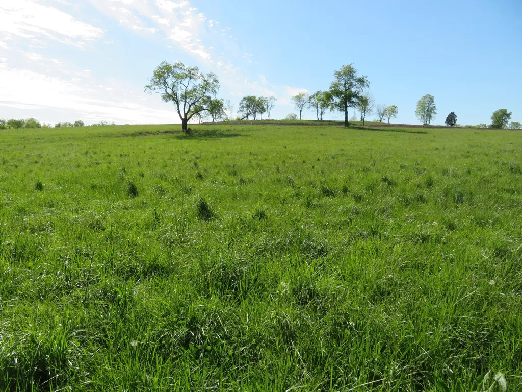 990 Craig Crossing Road Winchester KY 40391