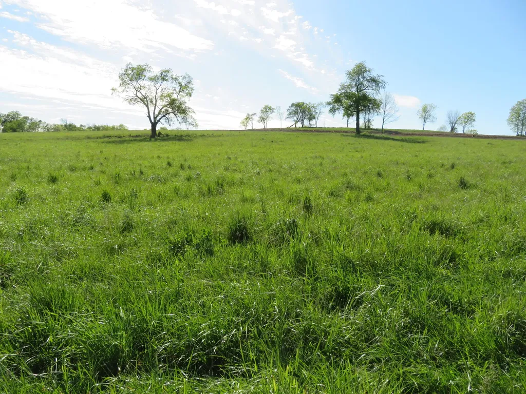990 Craig Crossing Road Winchester KY 40391