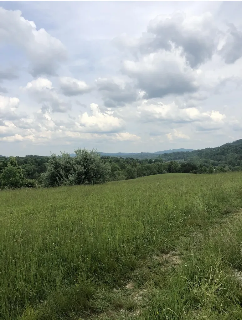 0 Lloyd Hol Road Corbin KY 40701