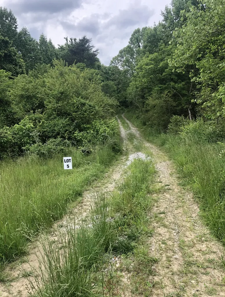 0 Lloyd Hol Road Corbin KY 40701
