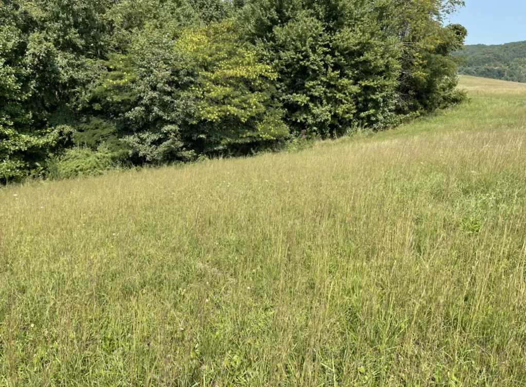 0 Lloyd Hol Road Corbin KY 40701