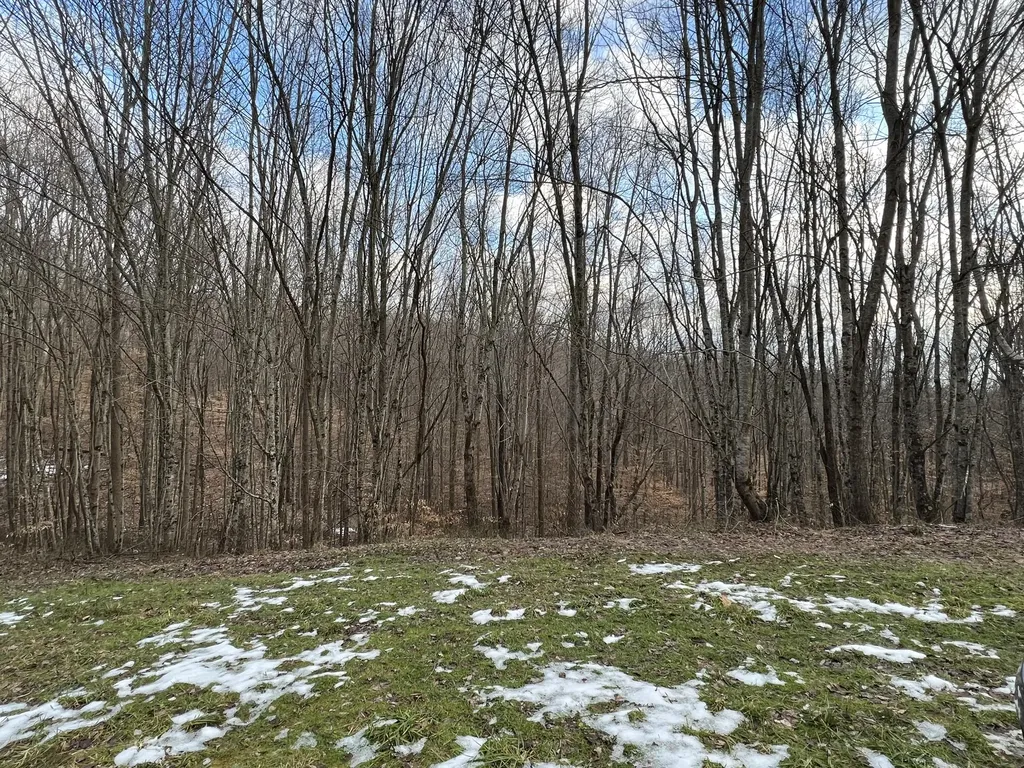 Lot #50 Laredo Drive London KY 40741