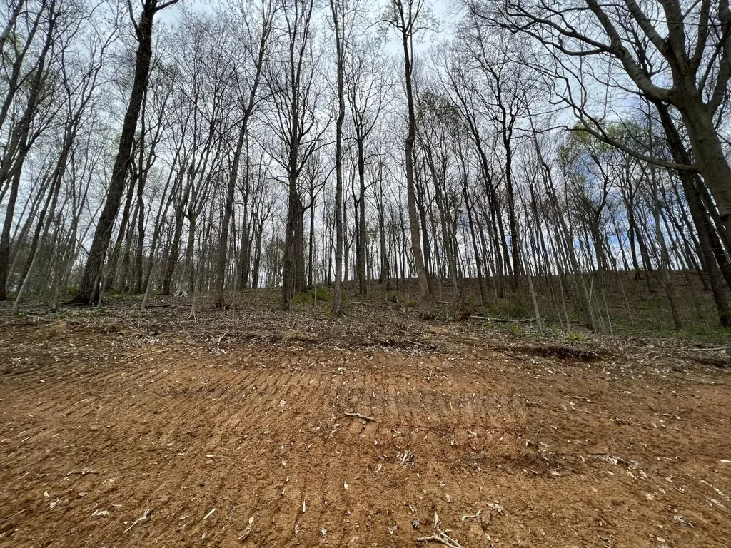Lot #22 Laredo Drive London KY 40744