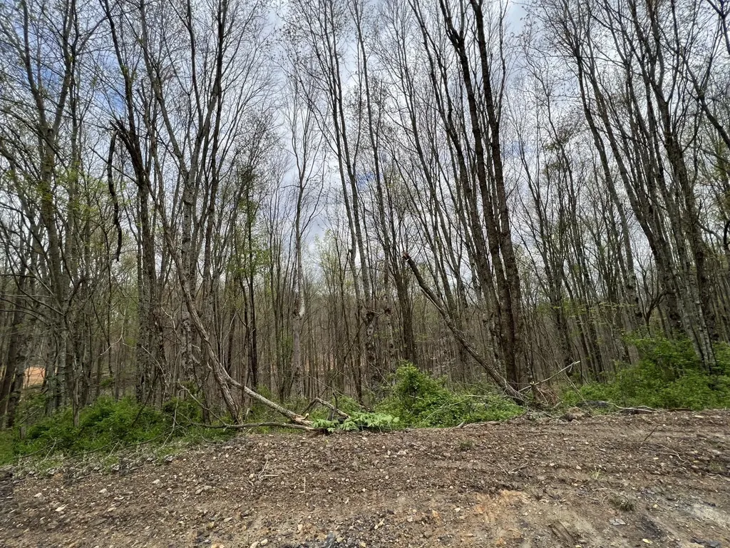 Lot #47 Laredo Drive London KY 40741