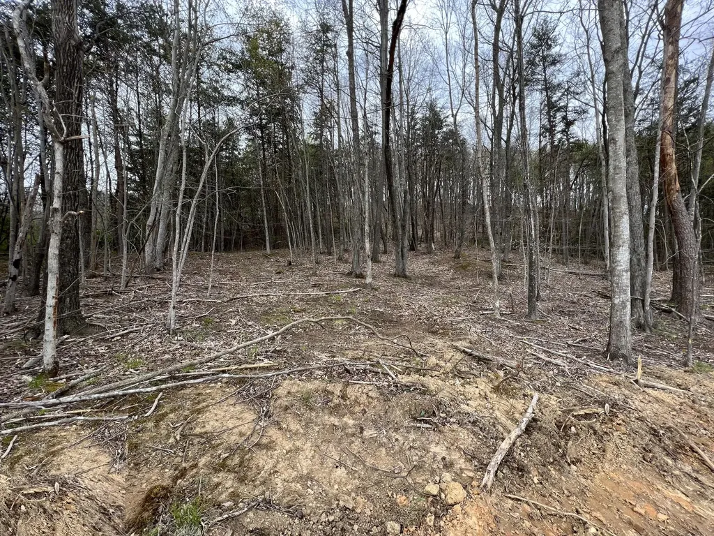 Lot #13 Laredo Drive London KY 40741