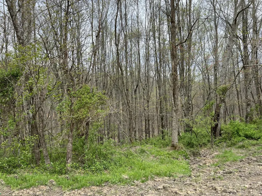 Lot #46 Laredo Drive London KY 40741