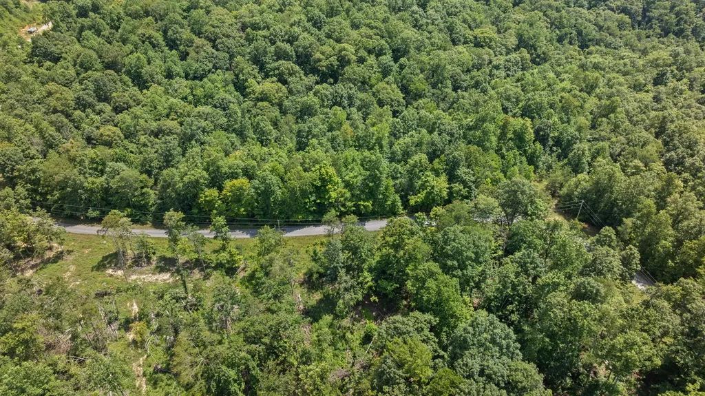 2 Campbell Road Nancy KY 42544