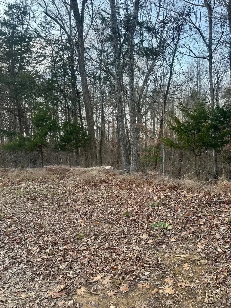 2 Campbell Road Nancy KY 42544