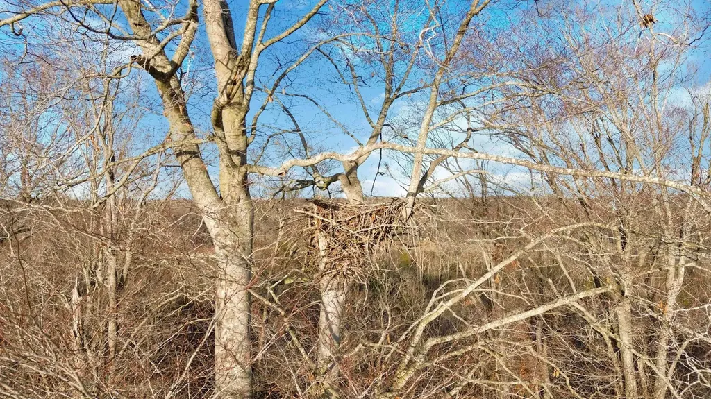 196 Knoll Lane Nancy KY 42544