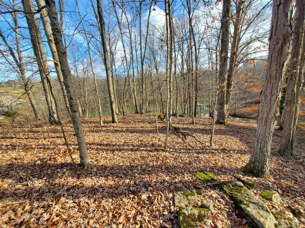 111 Whistler Court Georgetown KY 40324