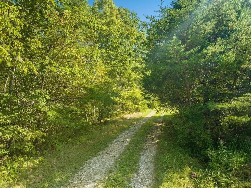 9999 Sunrise Valley Tract 3 Road Irvine KY 40336