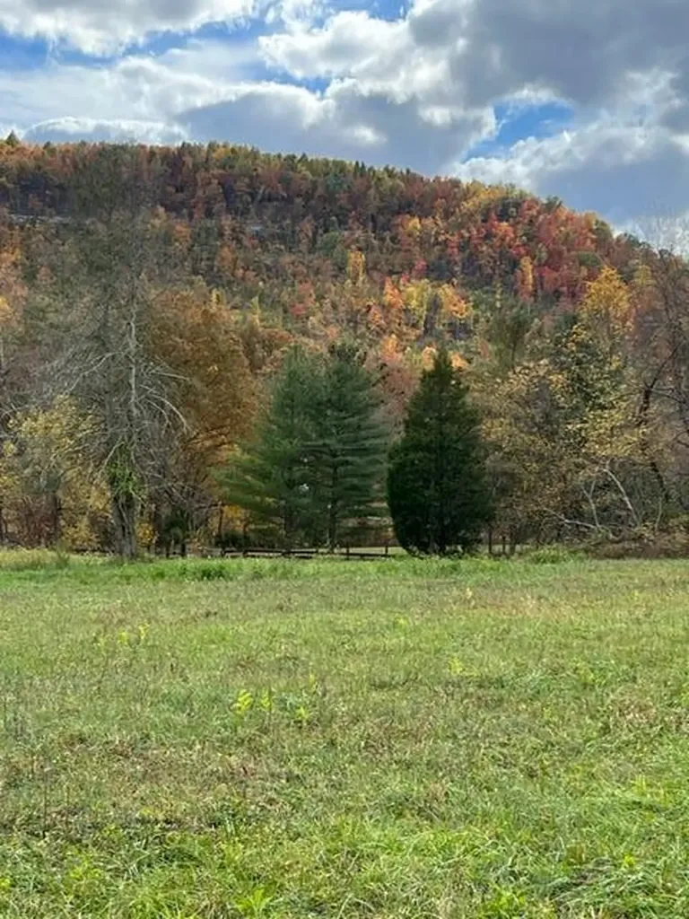 9999 Sunrise Valley Tract 3 Road Irvine KY 40336