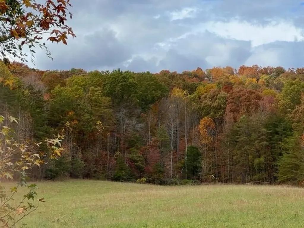 9999 Sunrise Valley Tract 3 Road Irvine KY 40336