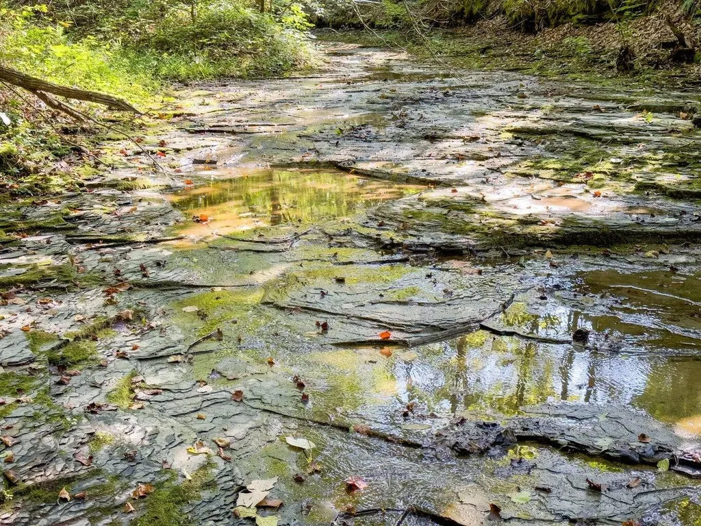 9999 Sunrise Valley Tract 3 Road Irvine KY 40336