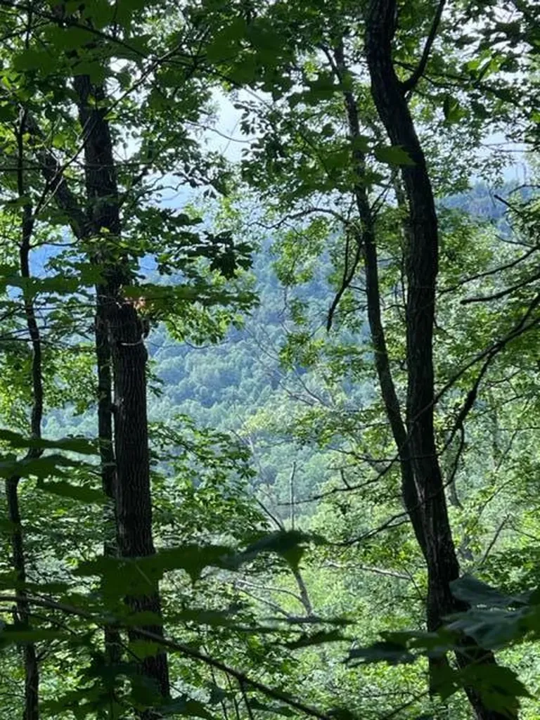 9999 Sunrise Valley Tract 3 Road Irvine KY 40336