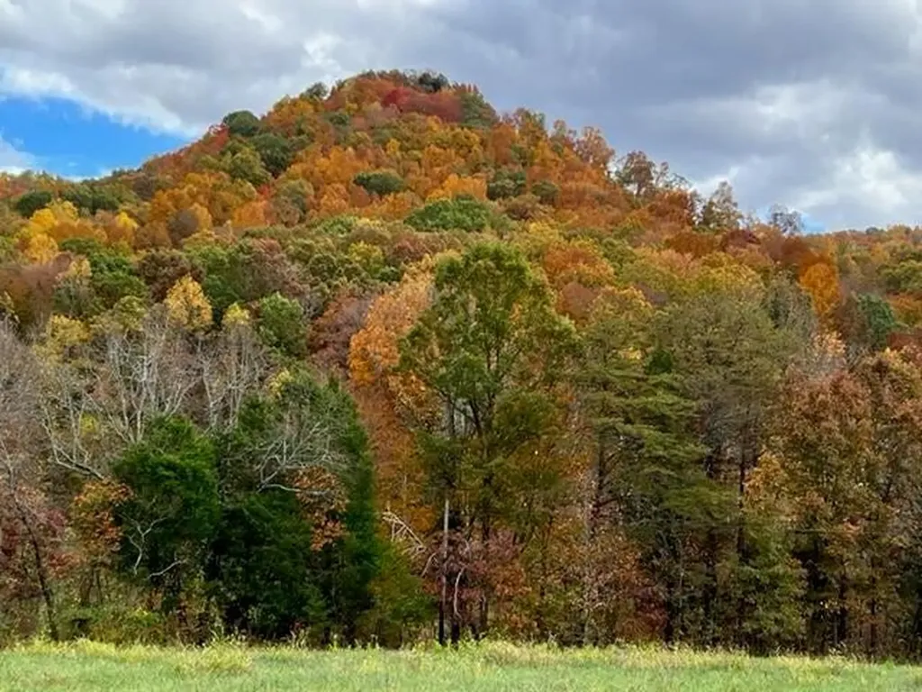 9999 Sunrise Valley Tract 3 Road Irvine KY 40336