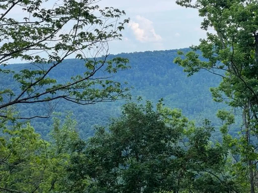 9999 Sunrise Valley Tract 3 Road Irvine KY 40336