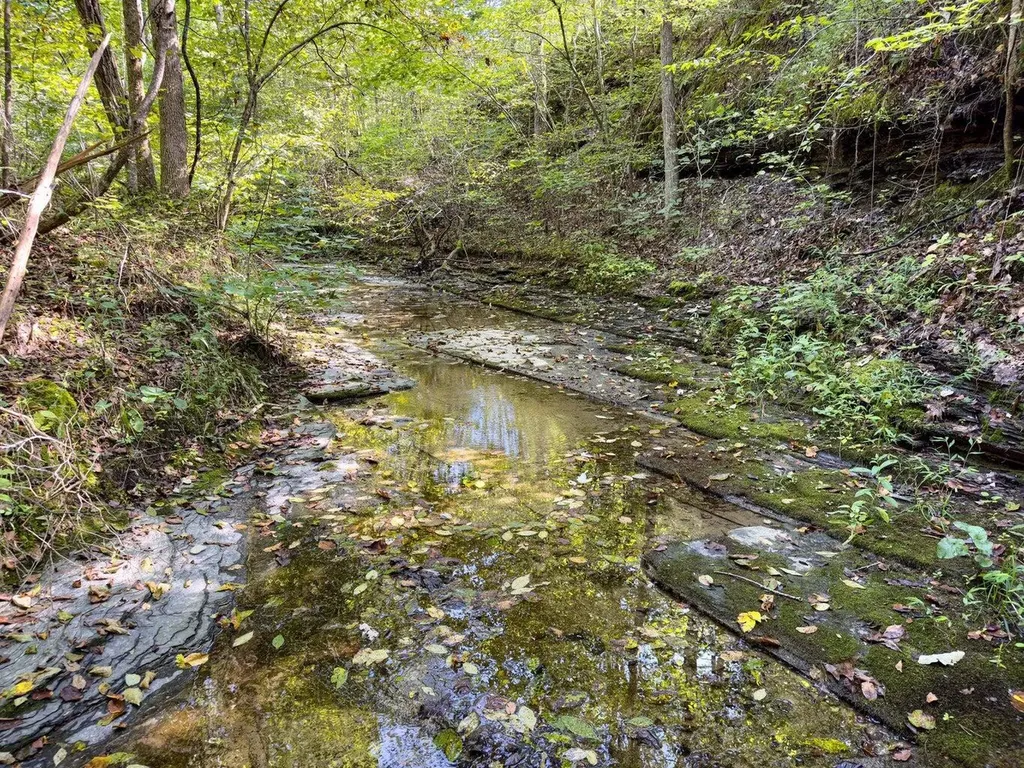 9999 Sunrise Valley Tract 3 Road Irvine KY 40336