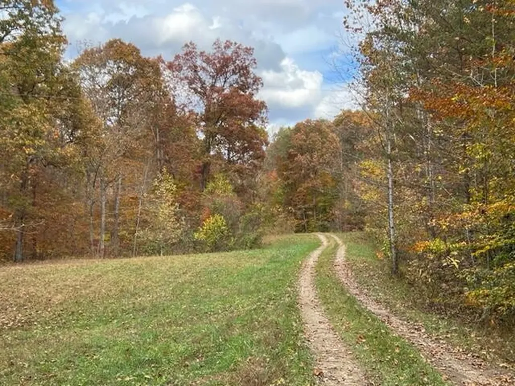 9999 Sunrise Valley Tract 3 Road Irvine KY 40336