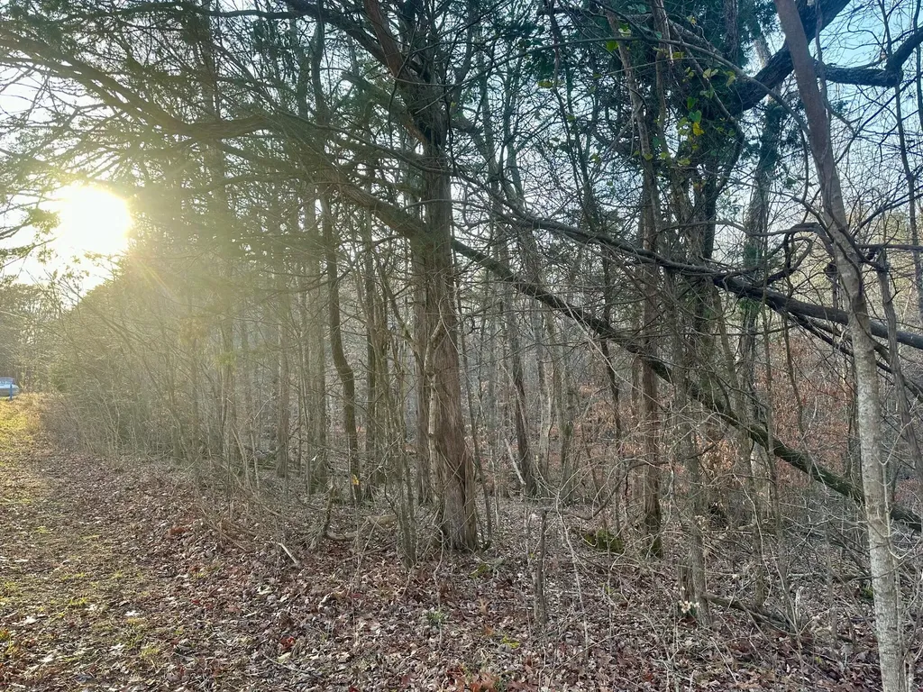 3 Campbell Road Nancy KY 42544