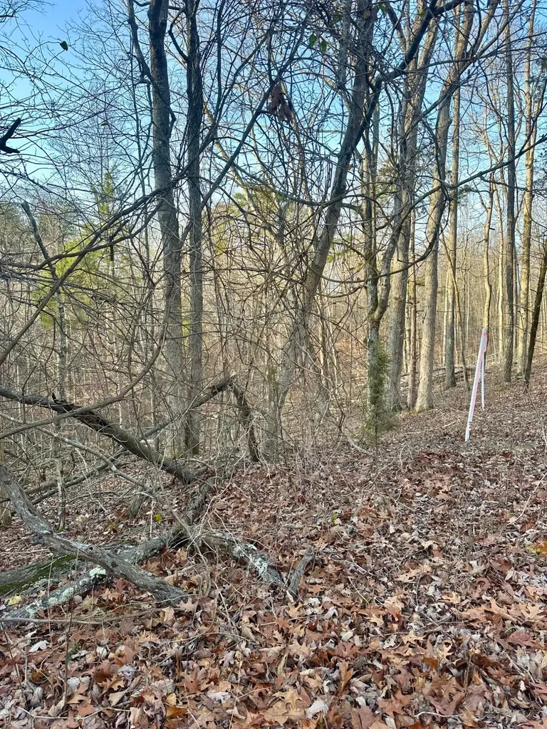 3 Campbell Road Nancy KY 42544