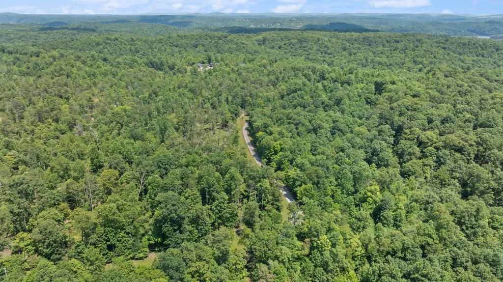 3 Campbell Road Nancy KY 42544