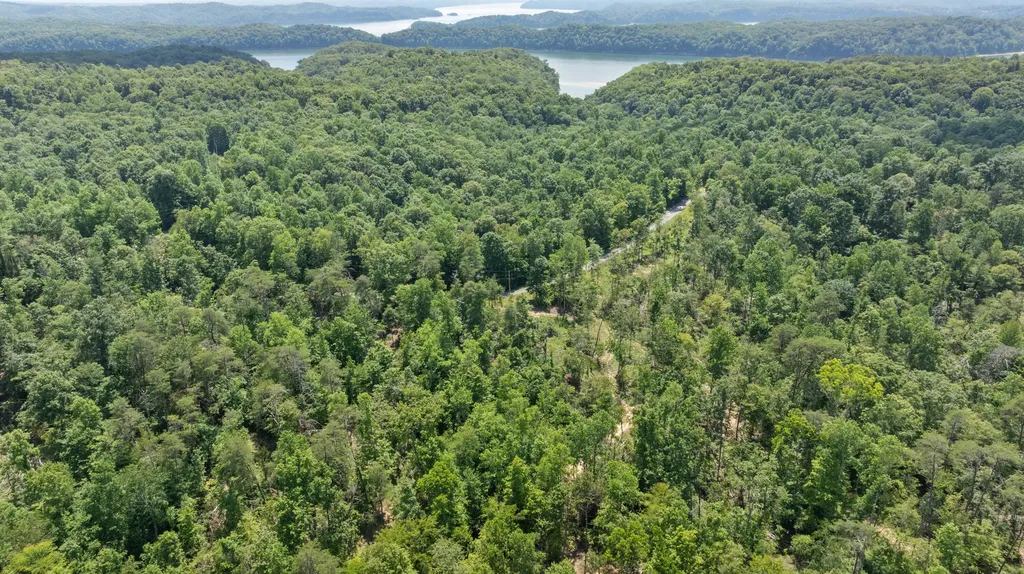 4 Campbell Road Nancy KY 42544