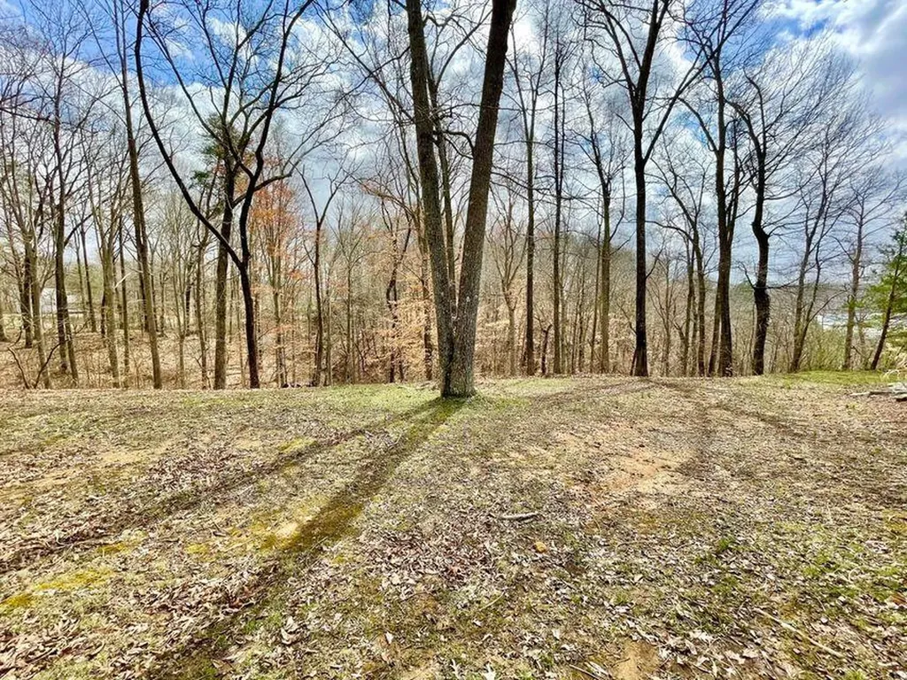 3 Marina Pointe Court Jamestown KY 42629